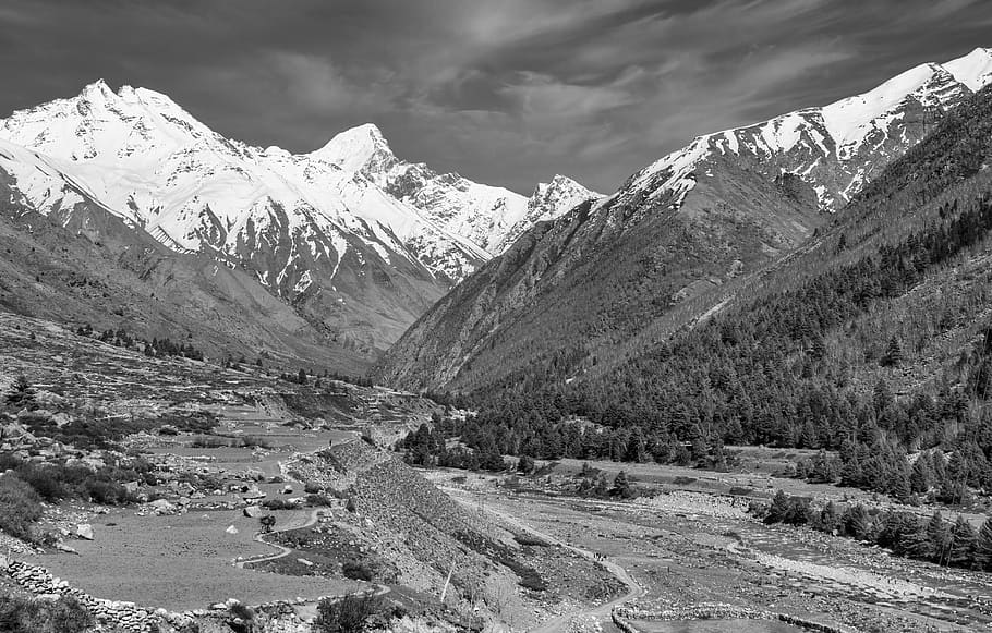 landscape, india, nature, black and white, grayscale, himalayas, himalaya, mountains, valley, snow covered