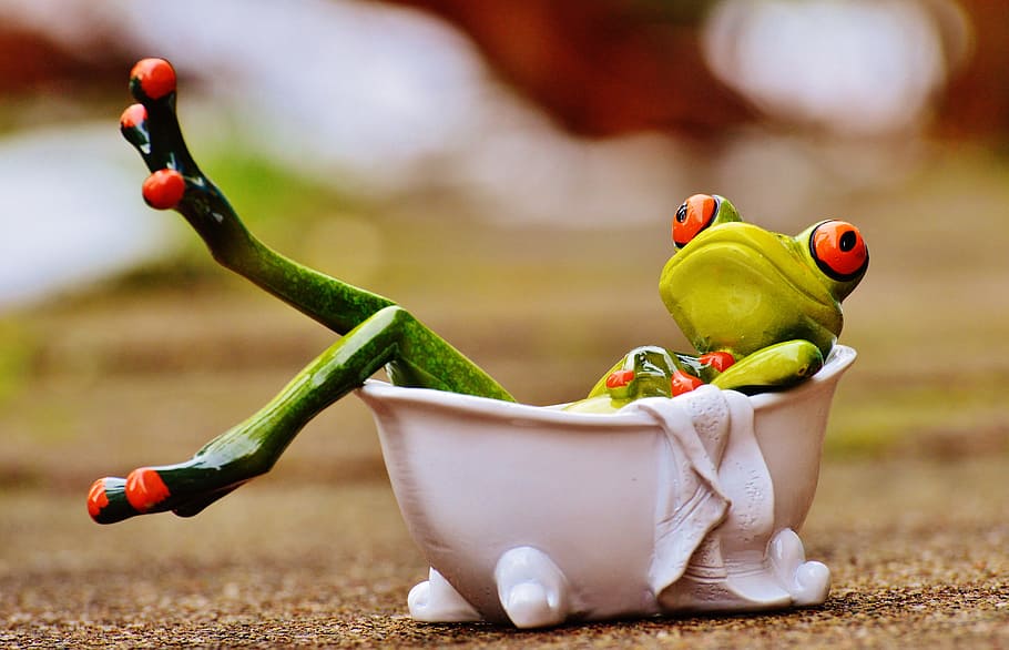 shallow, focus photography, green, frog, bath, swim, relaxation, relax, funny, body care