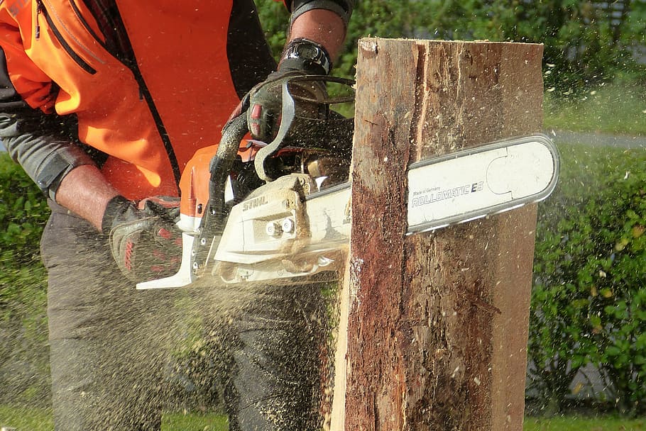 man, using, chainsaw, cutting, tree log, wood, tree, artwork, sculpture, cases