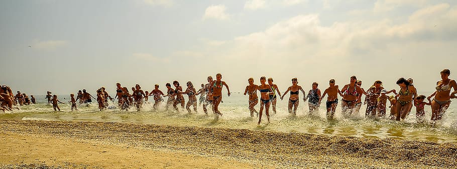 running, sea, daytike, Charging, Sea, Water, Water Treatment, People, water, sun, large group of animals