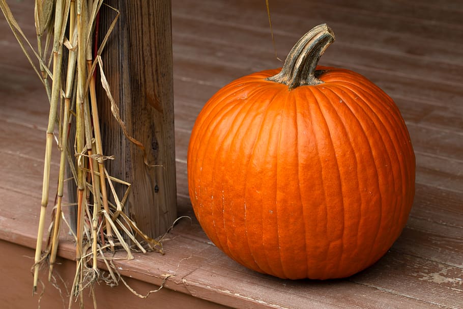autumn, pumpkin, decoration, fall, house, porch, steps, home, harvest, farm