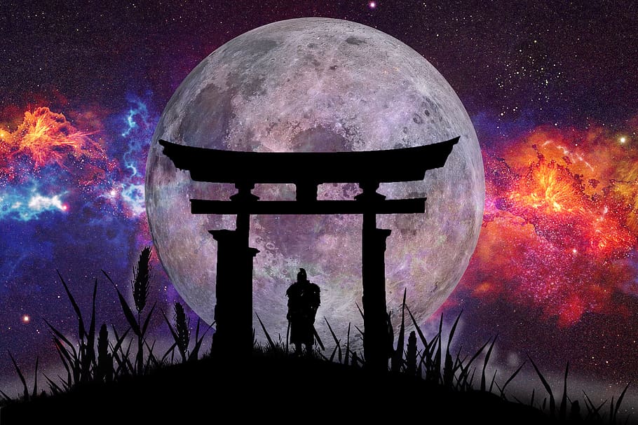 silhoute, shadow, moon, knight, japan, gate, sky, night, moonlight, nature