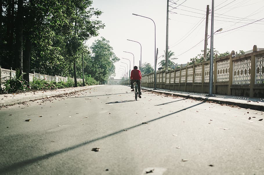 bike, the morning, do exercise, alone, lonely, light, road, real people, one person, tree
