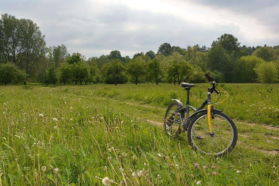 bike-by-bike-bicycles-sport.jpg