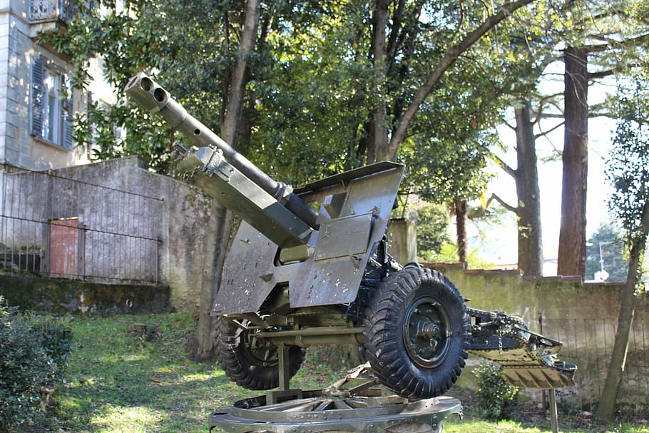 weapon, weapons, conflict, cannon, the second world war, war, armaments, tree, plant, day