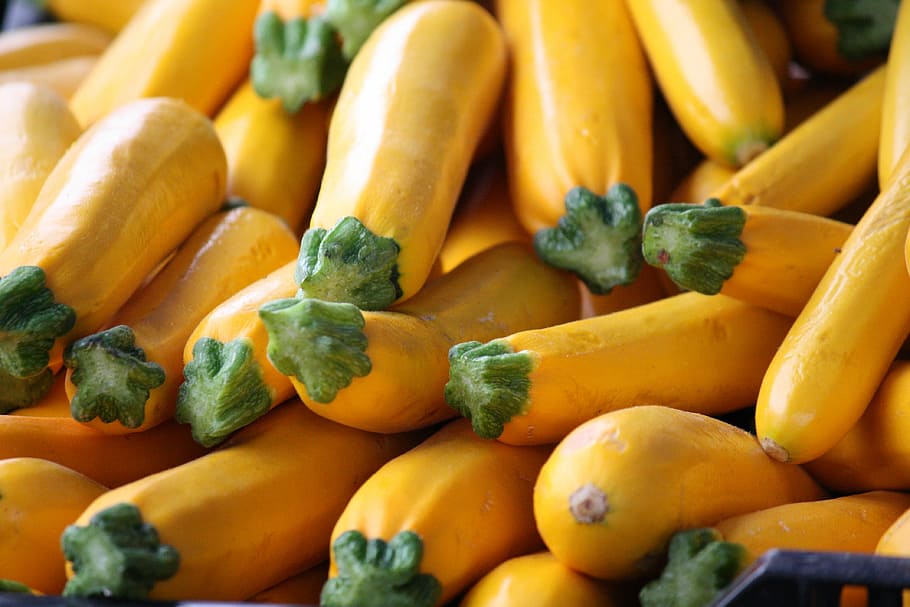 Yellow Squash, Vegetables, squash, food and drink, food, healthy eating, vegetable, banana, freshness, wellbeing