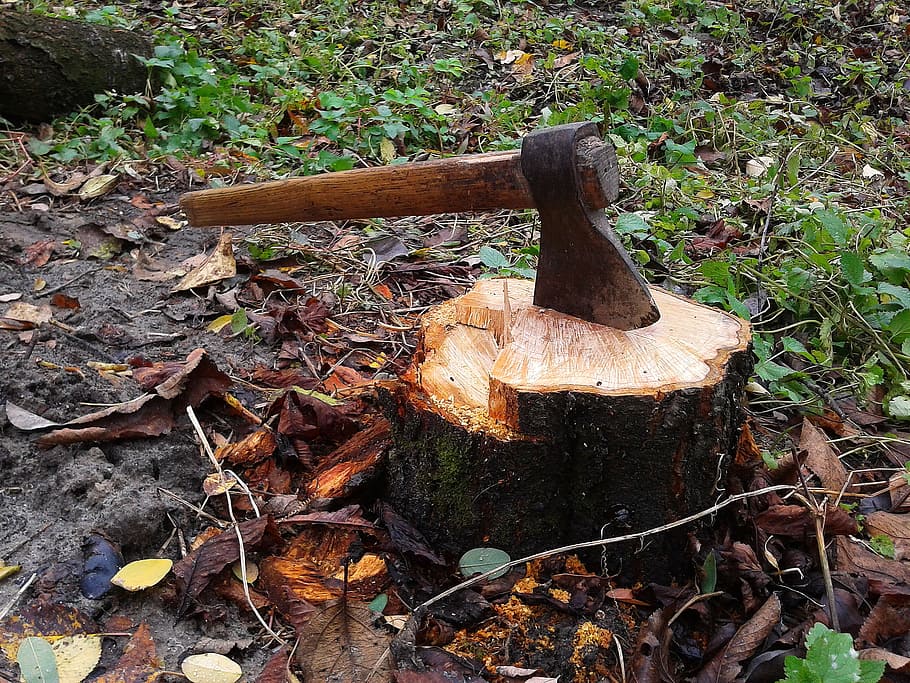 brown, black, axe, log, black axe, stump, tree, lumberjack, forest, nature