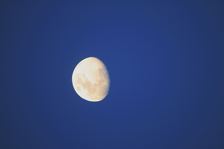 moon, waxing, growing, light, bright, twilight, sky, space, astronomy, blue