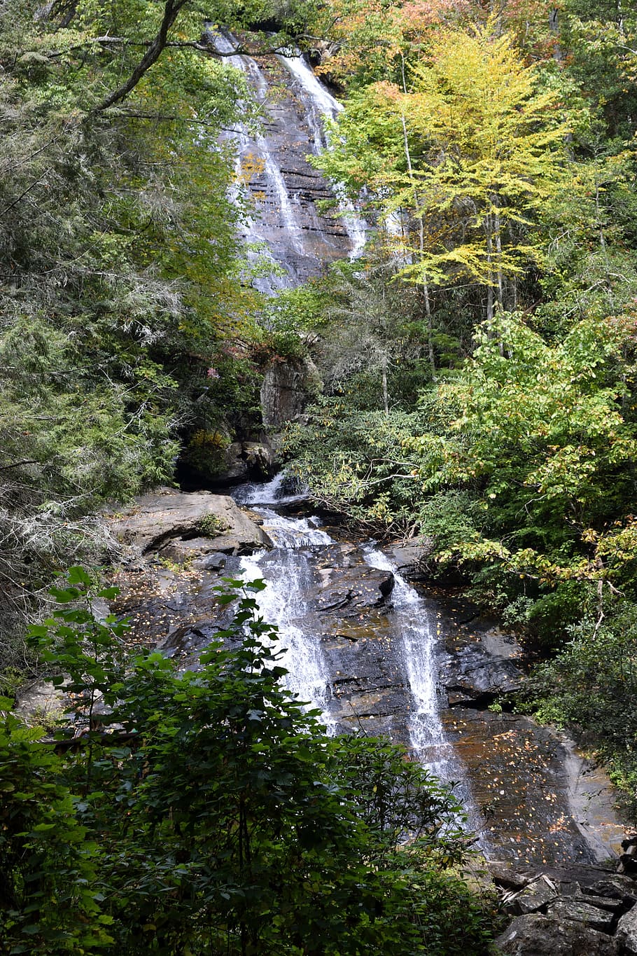 Anna Ruby Falls, Falls, Creek, Helen, Geórgia, riacho, floresta, paisagem, natureza, espirrando