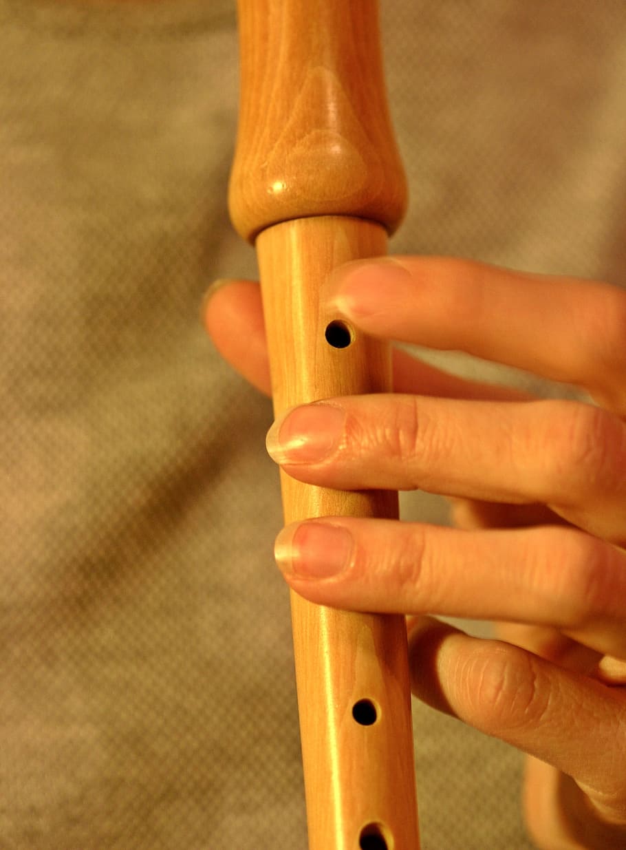 flute, recorder, music, musical instrument, wood, whistle, wooden flute, musical instruments and teachers, classic, hand