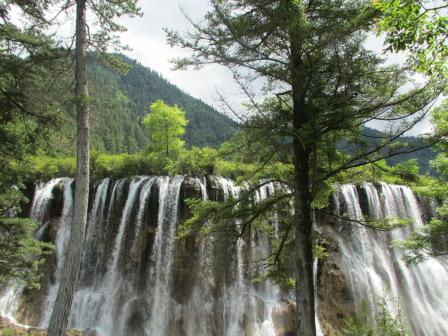 Jiuzhaigou, Scenery, Falls, the scenery, tree, waterfall, nature, blurred motion, outdoors, scenics - nature
