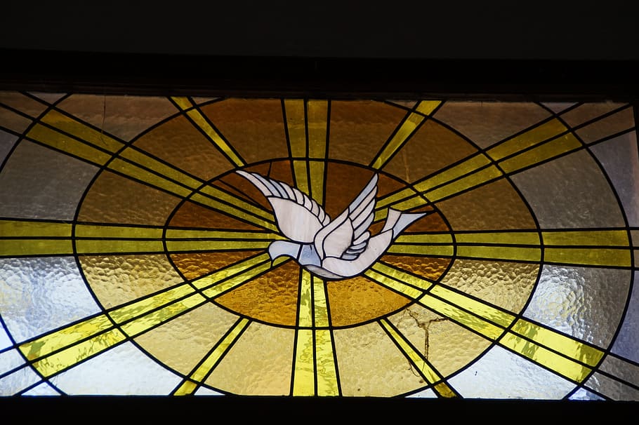 white, dove stainglass decor, Holy Spirit, Dove, Church Window, window, stained glass, peace dove, religion, christianity