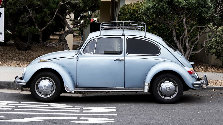 grey, road side, trees, daytime, Volkswagen Beetle, on road, car, street, old, transportation