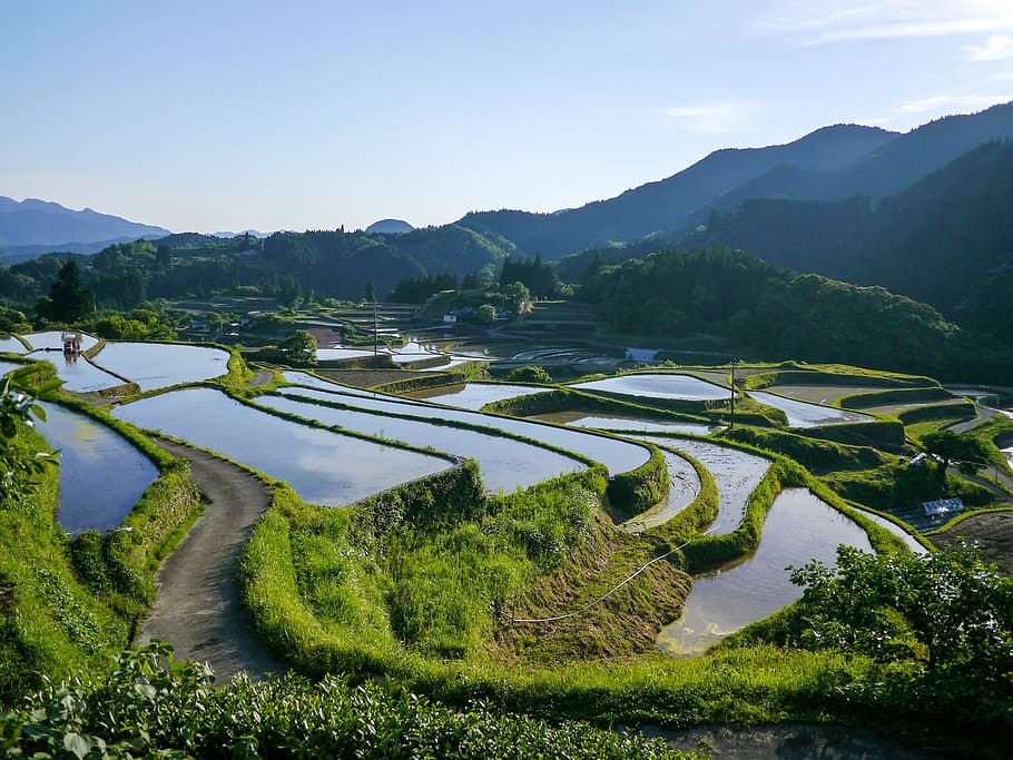 aerial, layered, land, daytime, green grass, landscape, japan, rice terraces, kumamoto, green