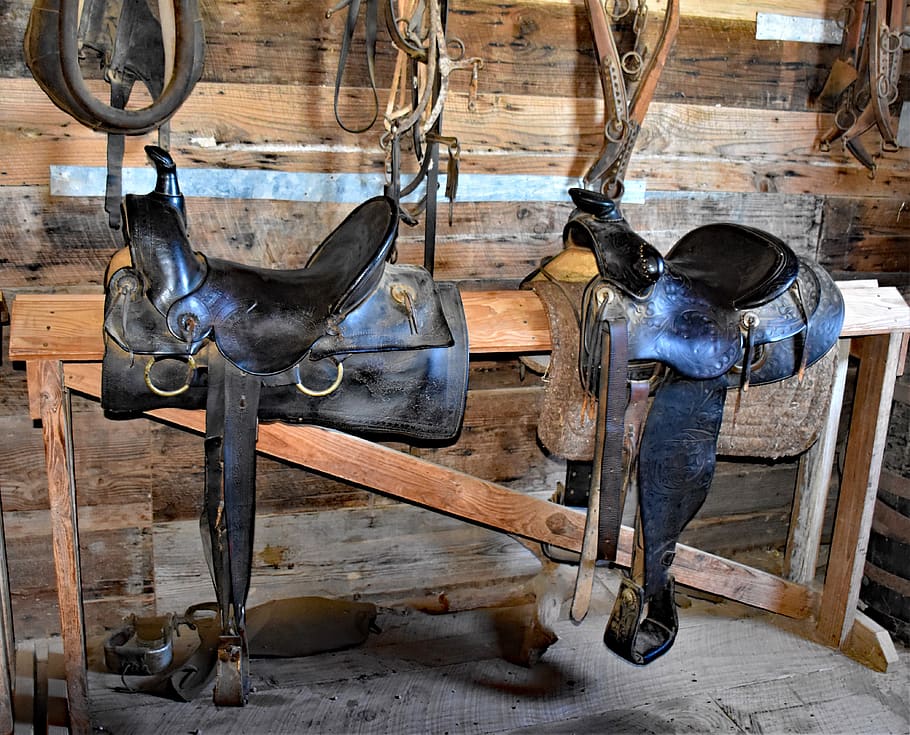 saddle, western, cowboy, rodeo, ranch, equestrian, country, ride, riding, indoors