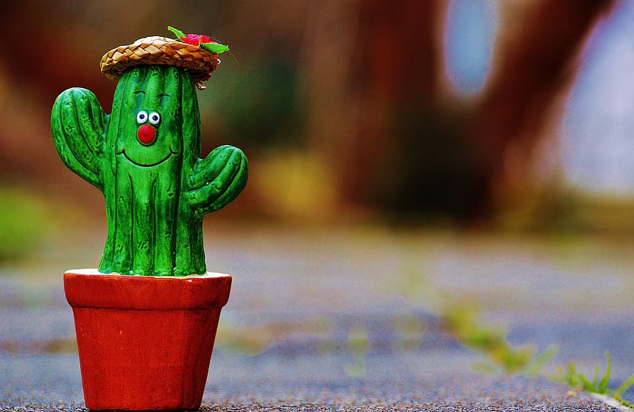cactus, straw hat, face, funny, cute, funny face, decoration, gartendeko, garden, ceramic