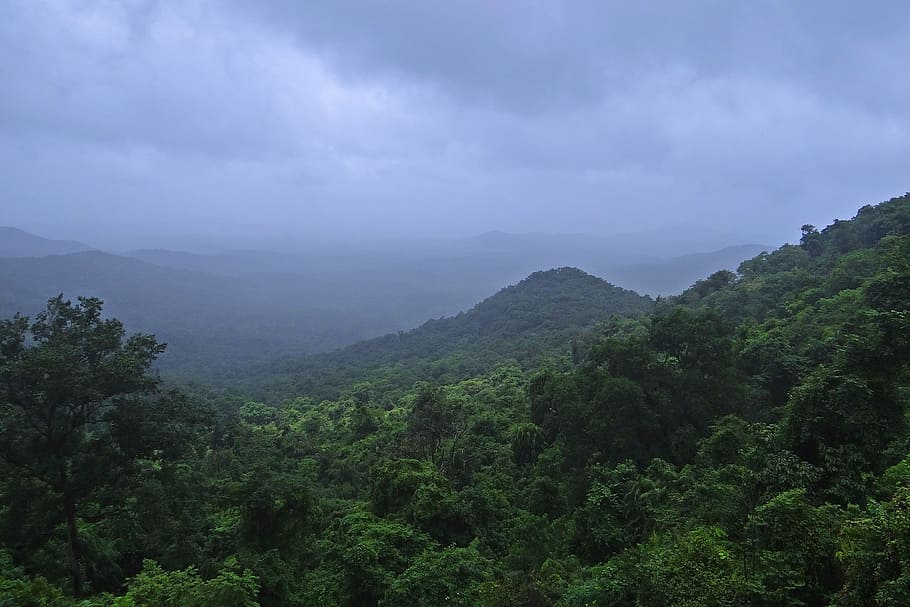 selva tropical, ghats occidentales, parque nacional de mollem, montañas, vegetación, goa, india, lluvia, oscuridad, nubes