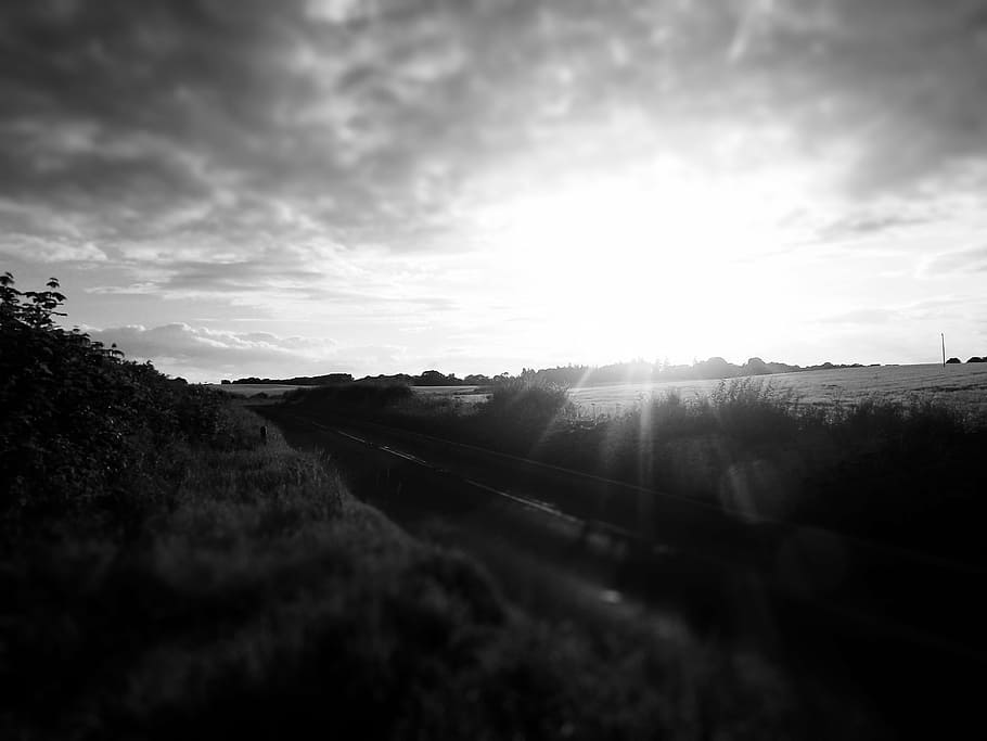 grayscale photo, grassfield, grayscale, sunrise, black and white, clouds, sky, sunshine, fields, nature