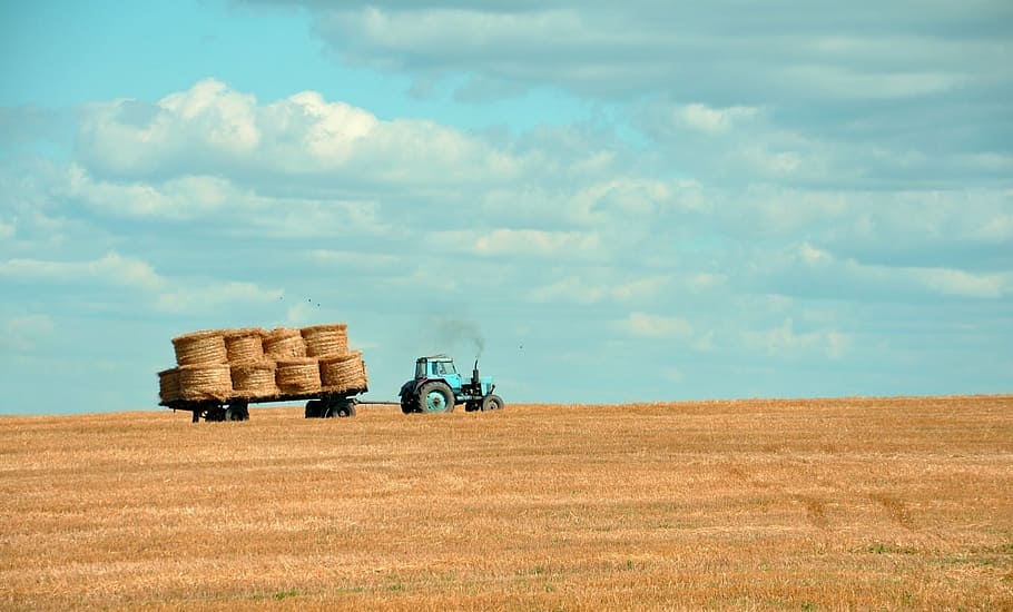 truck, loaded, hay stacks, agriculture, farming, field, plant, crop, harvest, rural
