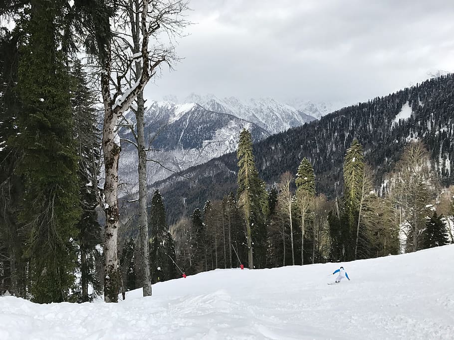 mountain, winter, rosa khutor, sochi, skier, track, clouds, trees, snow, nature