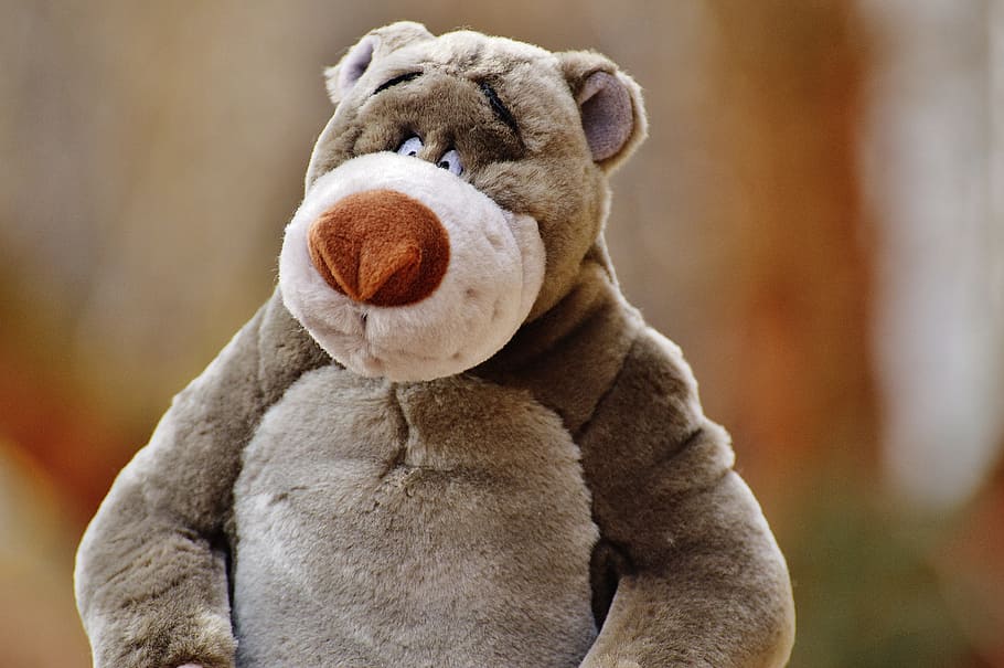 bear, soft toy, disney, stuffed animal, cute, toys, bears, purry, sweet, fur