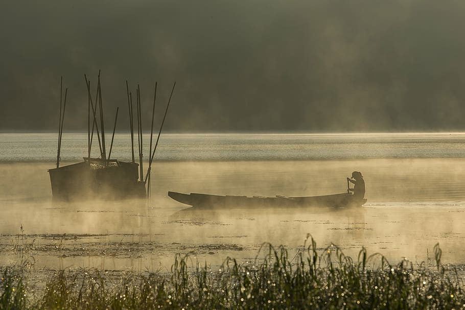 persona bote de remos, lago, dorado, tiempo, bote, agua, naturaleza, árboles, ver, madera