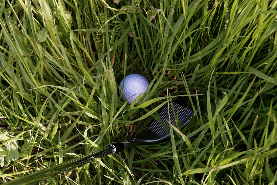 blue, golf ball, grass, covered, ground, golf, club, iron, wedge, rough