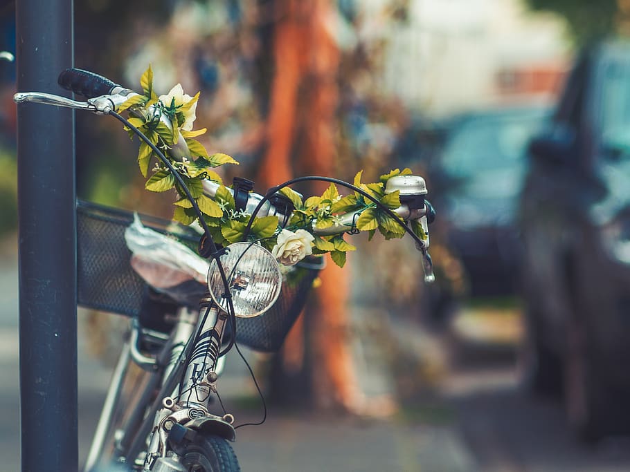 bicicleta, cesta, calle, desenfoque, verde, planta, centrarse en primer plano, vehículo terrestre, día, modo de transporte