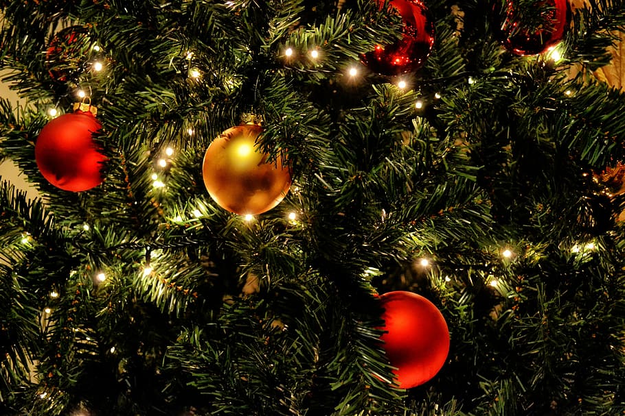 two, red, one, gold christmas balls, christmas tree, lights, balls, gold, holiday, tree