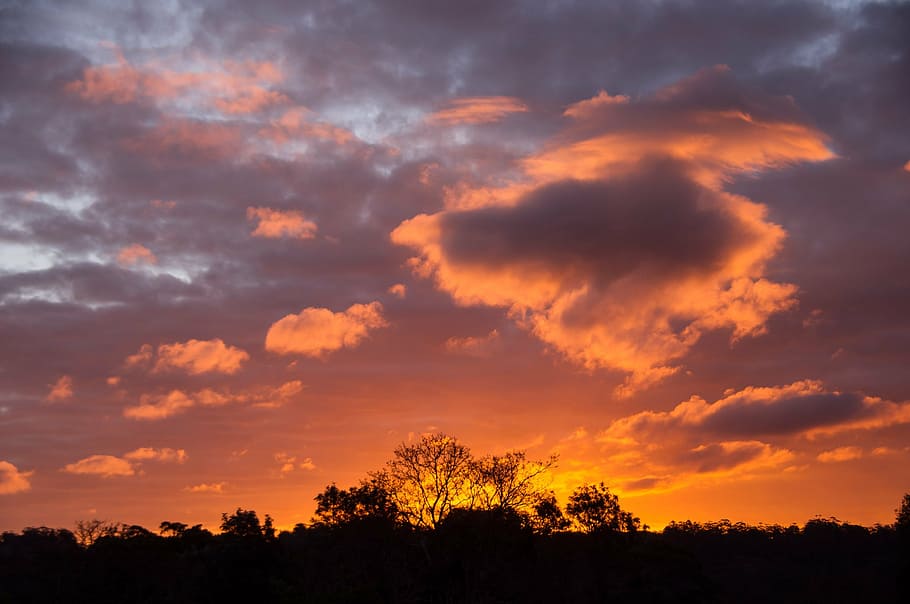 sunset, sky, pink, orange, blue, clouds, horizon, trees, australia, mellow