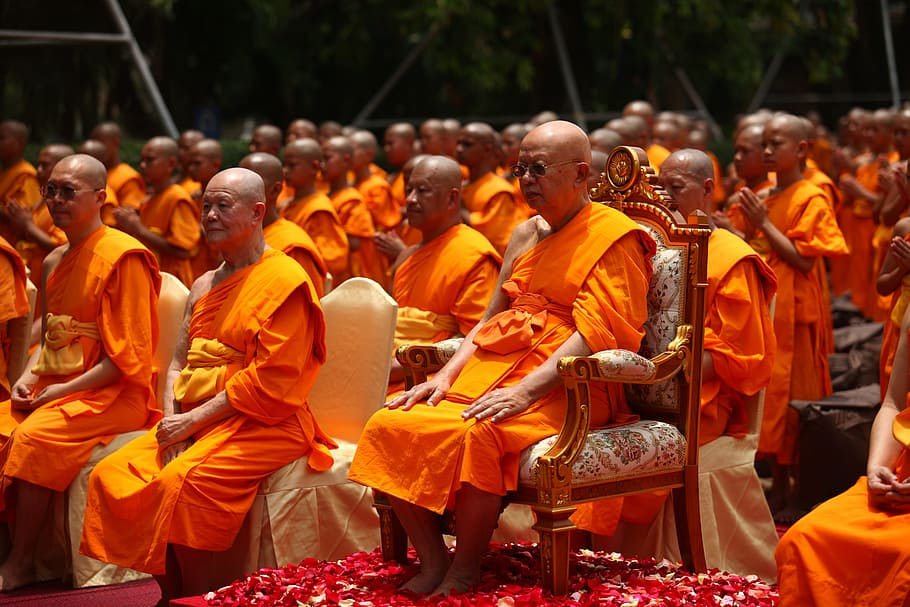 supreme patriarch, temple, buddhists, patriarch, priests, monk, orange, robes, thailand, asia