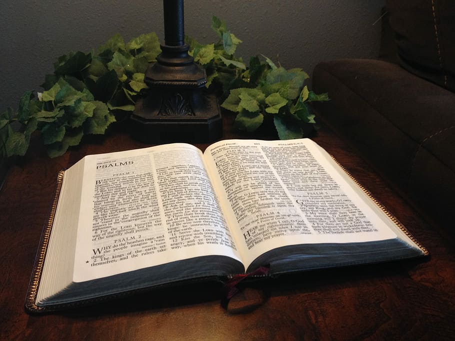 Bíblia, Salmos, Livro aberto, Livro, aberto, culturas, dentro de casa, página, vista de alto ângulo, publicação