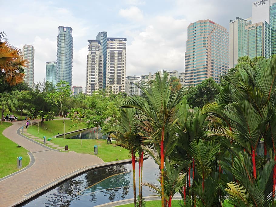 palm trees, pond, overlooking, city buildings, blue, white, cloudy, skies, daytime, kuala lumpur