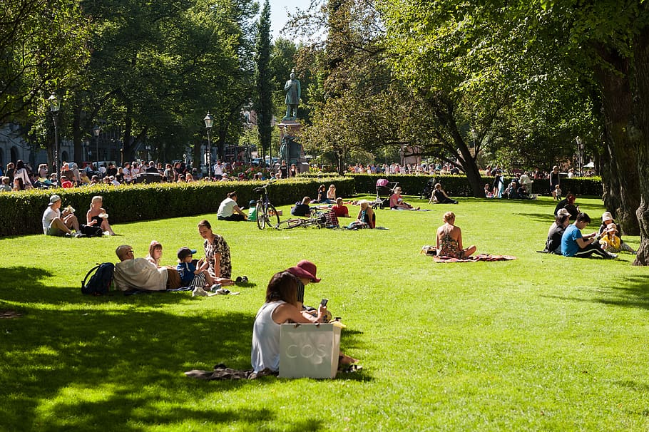 helsinki, finland, trees, urban, park, city, cityscape, people, relaxation, plant