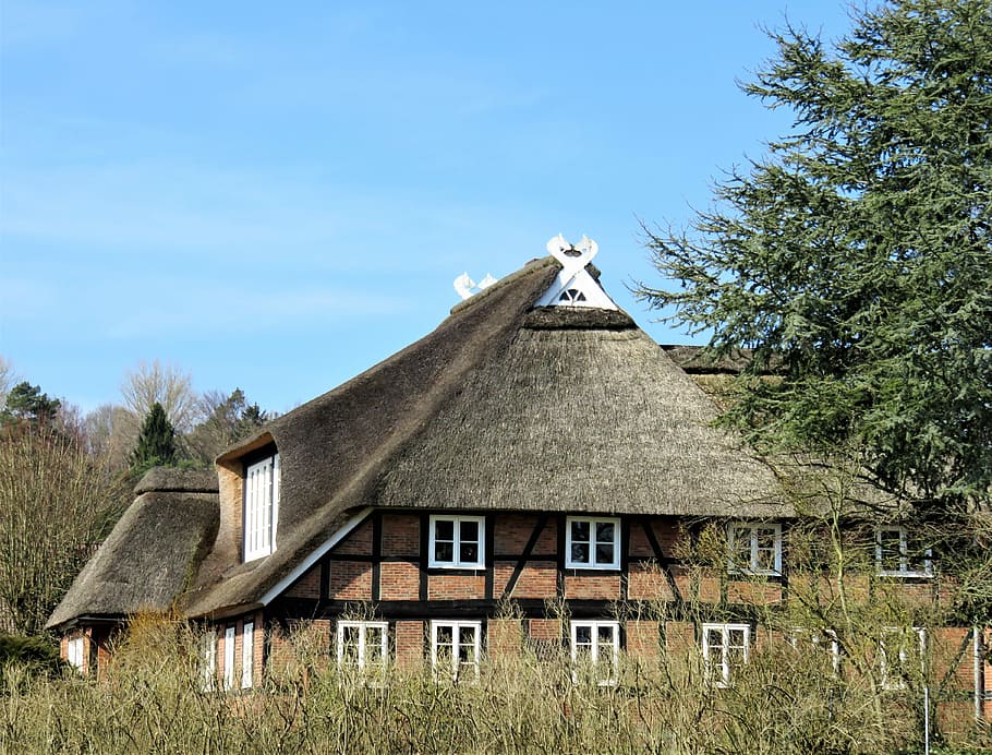 green, tree besidebrown paited house, thatched cottage, fachwerkhaus, architecture, gable, crossed horse heads, old, building, residence