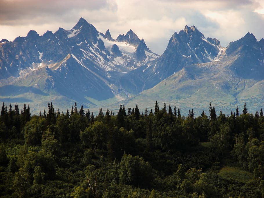 verde, floresta, foto da montanha, árvores, perto, montanha, nuvens, alasca, paisagem, montanhas