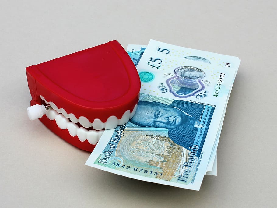 Rojo, blanco, titular de los dientes, dinero, agarre, dientes, moneda, finanzas, riqueza, efectivo