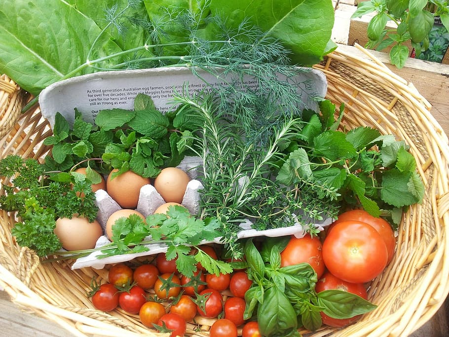 assorted-type vegetables, egg, inside, brown, wicker basket, fresh, harvest, herbs, food, vegetables
