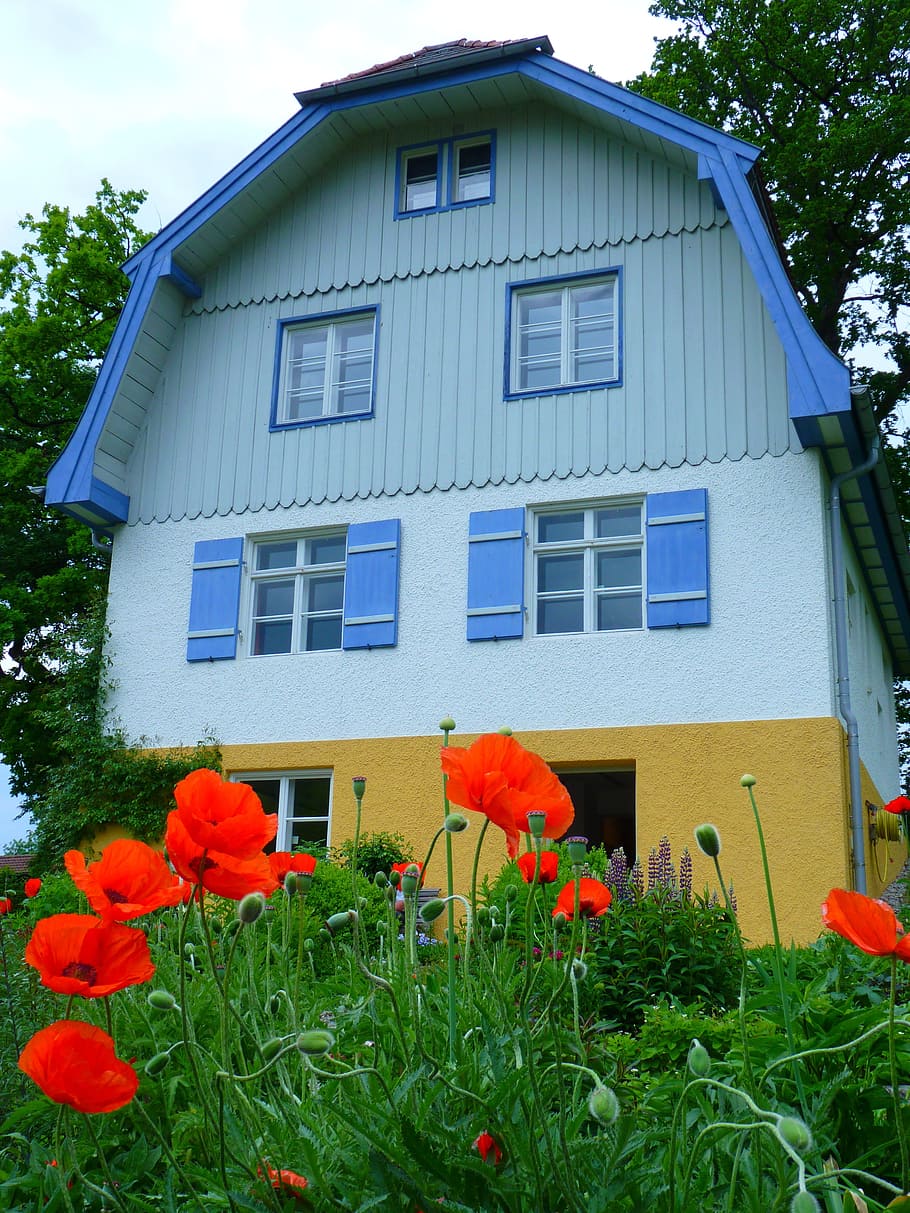 Münter, Staffelsee, pintor, muenterhaus, exterior del edificio, casa, ventana, flor, patio delantero o trasero, arquitectura