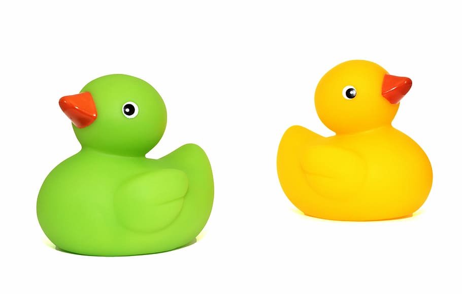 green, yellow, rubber ducklings, ducks, toys, duck, baby, child, cute, isolated