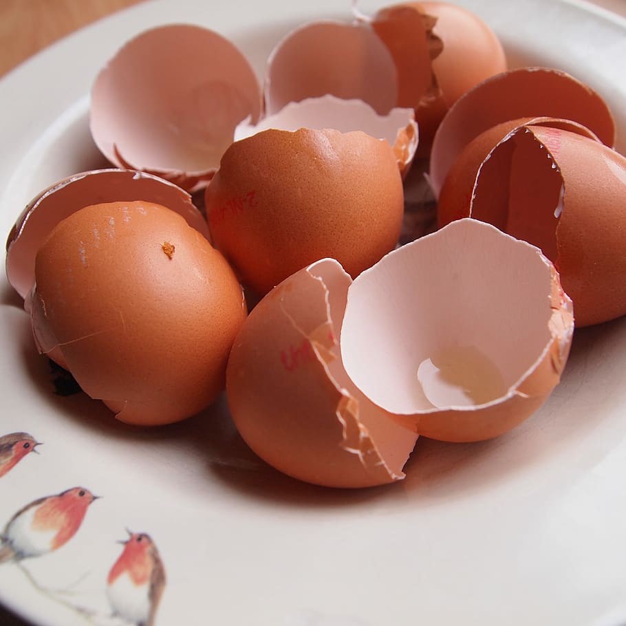 Ovos, Quebrado, Conselho, Piscos de peito vermelho, ovo, casca de ovo, comida e bebida, comida, café da manhã, proteína