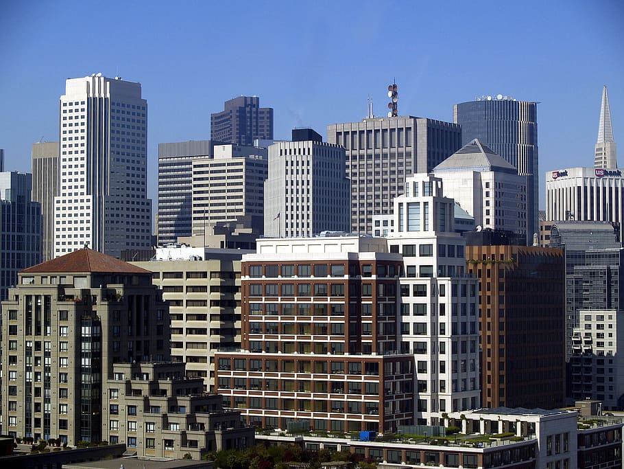 Skyline, San Francisco, California, Amerika Serikat, bangunan, gedung tinggi, gedung pencakar langit, arsitektur, eksterior bangunan, lanskap kota