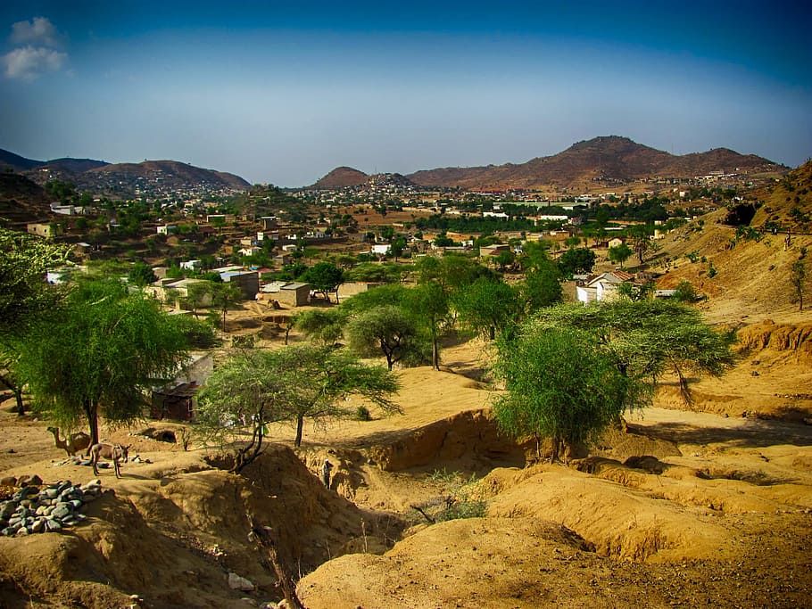 green, leafed, trees, clear, blue, sky, Ghinda, Eritrea, Landscape, Scenic