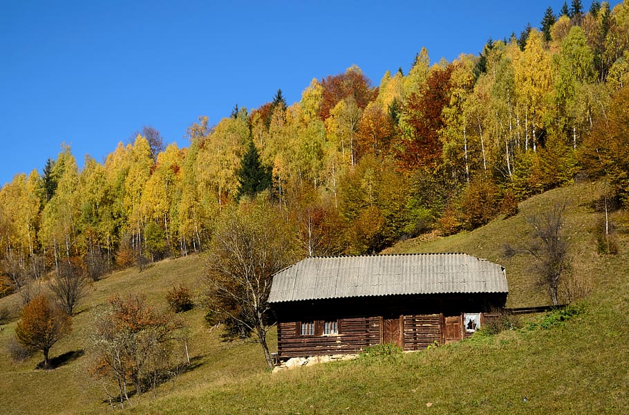 marrón, casa, ladera de la montaña, casa marrón, otoño, naturaleza, escena rural, paisaje, árbol, arquitectura y edificios