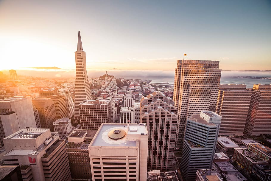 Sunset, Skyscrapers, San Francisco, architecture, bay area, buildings, california, city, coit tower, evening