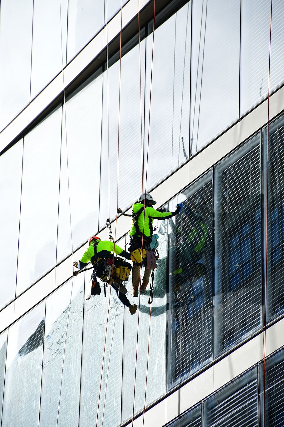 window cleaner, high rise building cleaner, building glass maintenance, architecture, built structure, building exterior, rope, low angle view, working, occupation