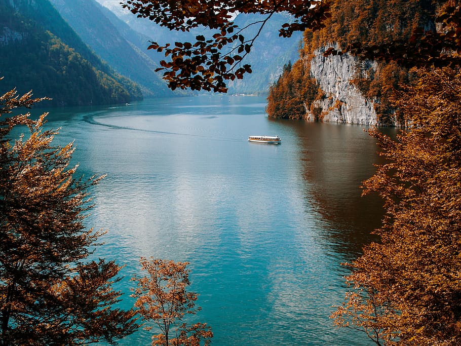 lake, landscape, nature, königsee, germany, alps, bergsee, forest, alpine, view
