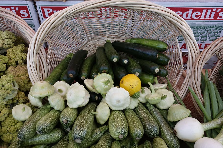 basket, harvest, zucchini, food, vegitables, healthy eating, food and drink, freshness, wellbeing, vegetable