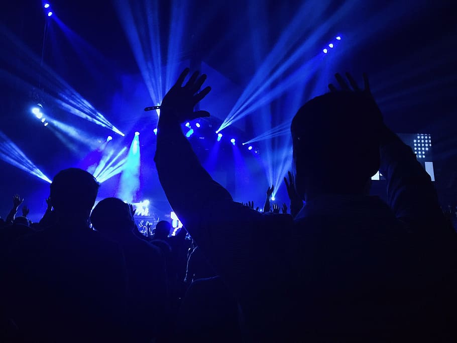 silueta, gente, azul, luces del escenario, concierto, actuación, entretenimiento, música, banda, audiencia