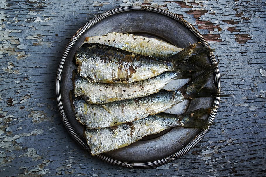 bunch, cooked, fishes, gray, plate, sardines, fish, plated food, food, grilled